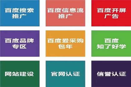 案例展示：托管竞价SEM助力企业实现业绩增长